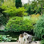 Beauty House - Jacuzzi - Giardino Privato Bed & Breakfast 3*