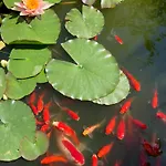 Beauty House - Jacuzzi - Giardino Privato Bed & Breakfast Cesena
