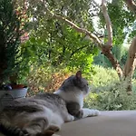 Beauty House - Jacuzzi - Giardino Privato Bed & Breakfast Cesena