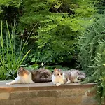 Beauty House - Jacuzzi - Giardino Privato Bed & Breakfast