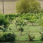 Bed & Breakfast Beauty House - Jacuzzi - Giardino Privato 3*