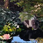 Beauty House - Jacuzzi - Giardino Privato 3*