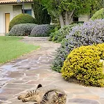 Beauty House - Jacuzzi - Giardino Privato 3* Cesena