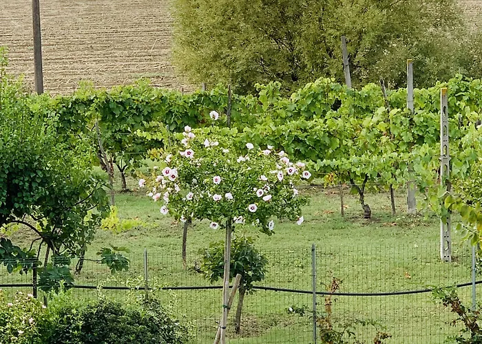 Frühstückspension Beauty House 3*