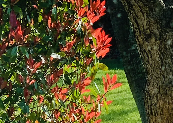 Frühstückspension Beauty House