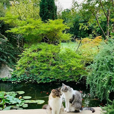 Beauty House Отель типа 