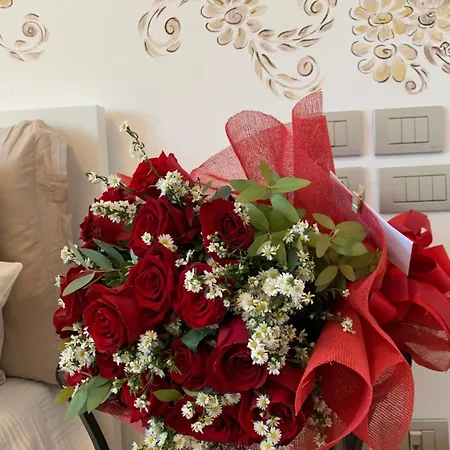 לינה וארוחת בוקר Beauty House *