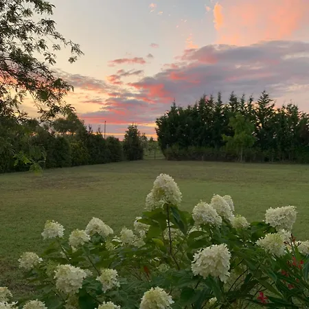 Beauty House Bed & Breakfast