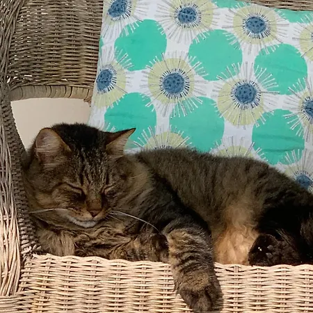 Beauty House 3* Cesena