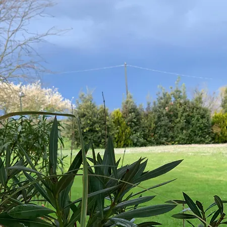 Bed & Breakfast Beauty House