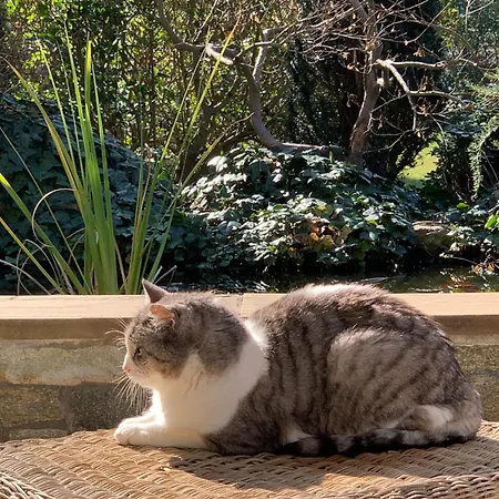 Bed & Breakfast Beauty House Cesena