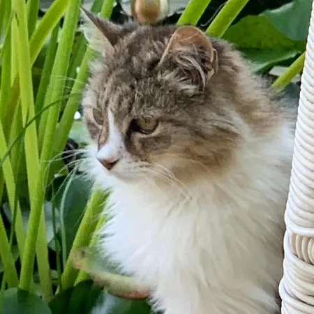 Bed & Breakfast Beauty House 3*