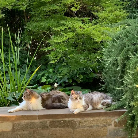 Beauty House Отель типа 