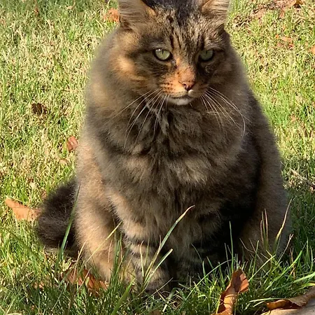 Beauty House Bed & Breakfast