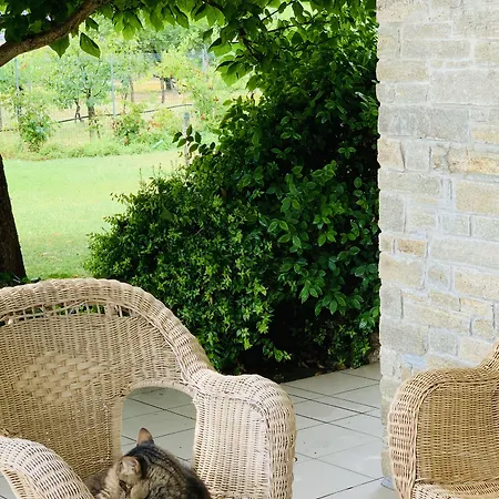 Beauty House 3* Cesena