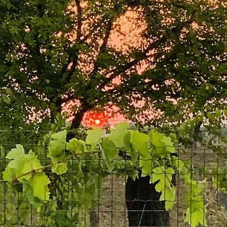 Beauty House Bed & Breakfast