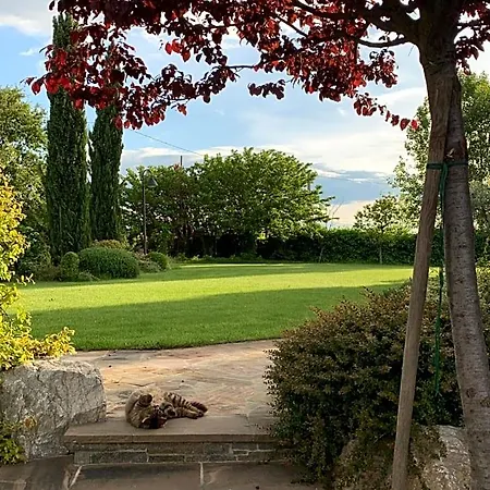 Bed and breakfast Beauty House - Jacuzzi - Giardino Privato