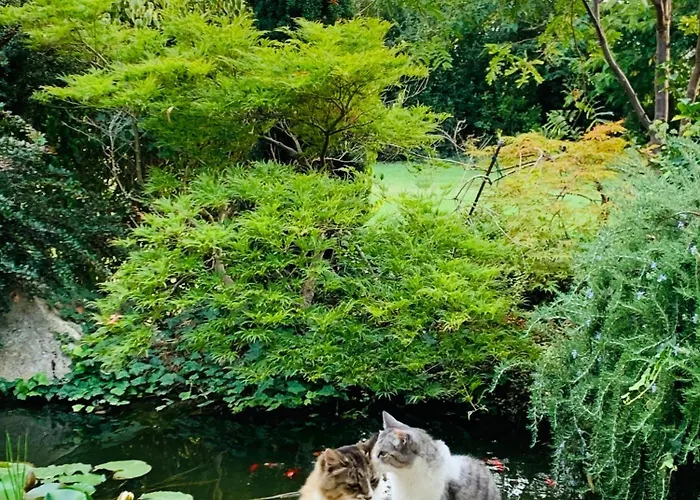 Beauty House Couette-café 3*