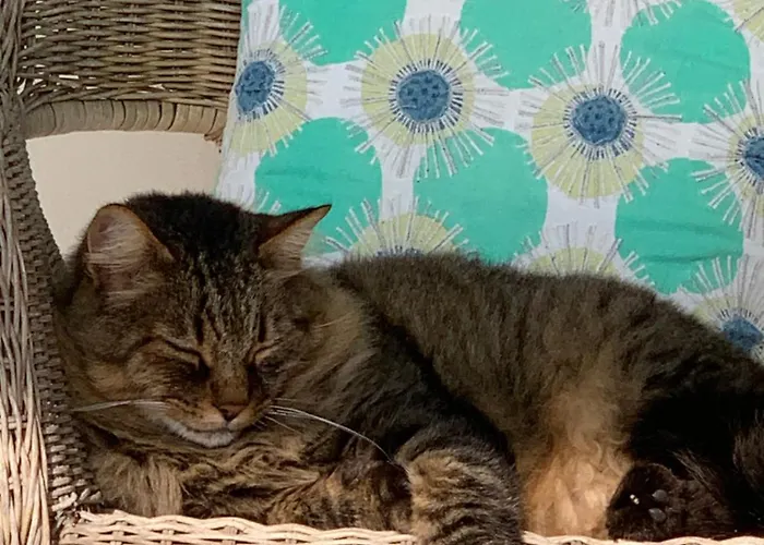 Beauty House 3* Чезена