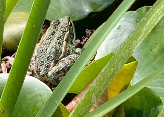 Beauty House Couette-café 3*