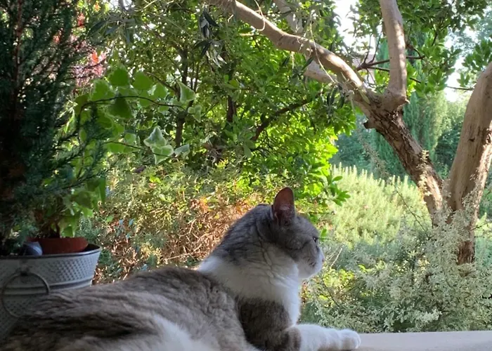 Beauty House Couette-café Cesena