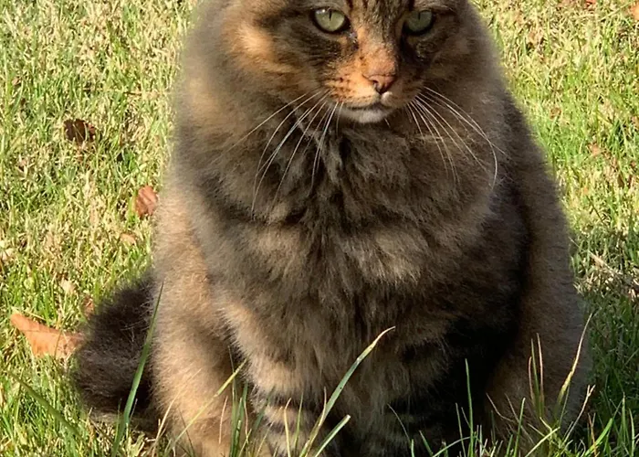 Beauty House Отель типа 