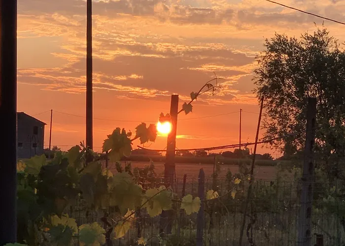 Beauty House 3* Чезена