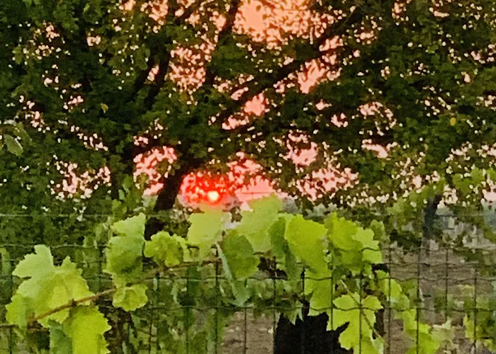 Beauty House Отель типа 