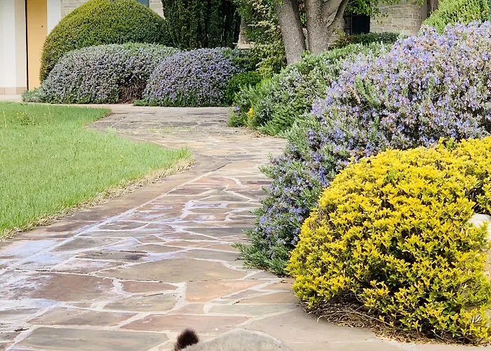 Beauty House 3* Чезена